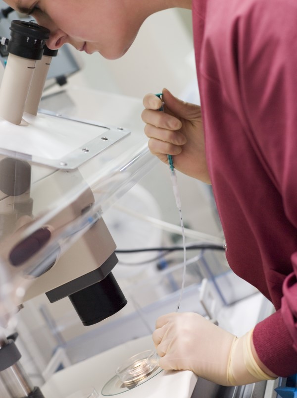 Embryologist role