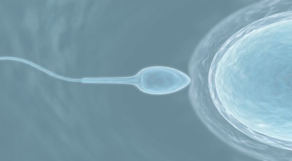 IMSI AS A TOOL IVF