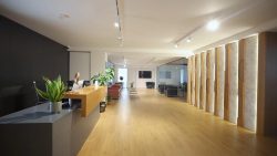 Bright reception desk and spacious modern waiting room at Fertility First fertility clinic with plants, seating and wooden flooring